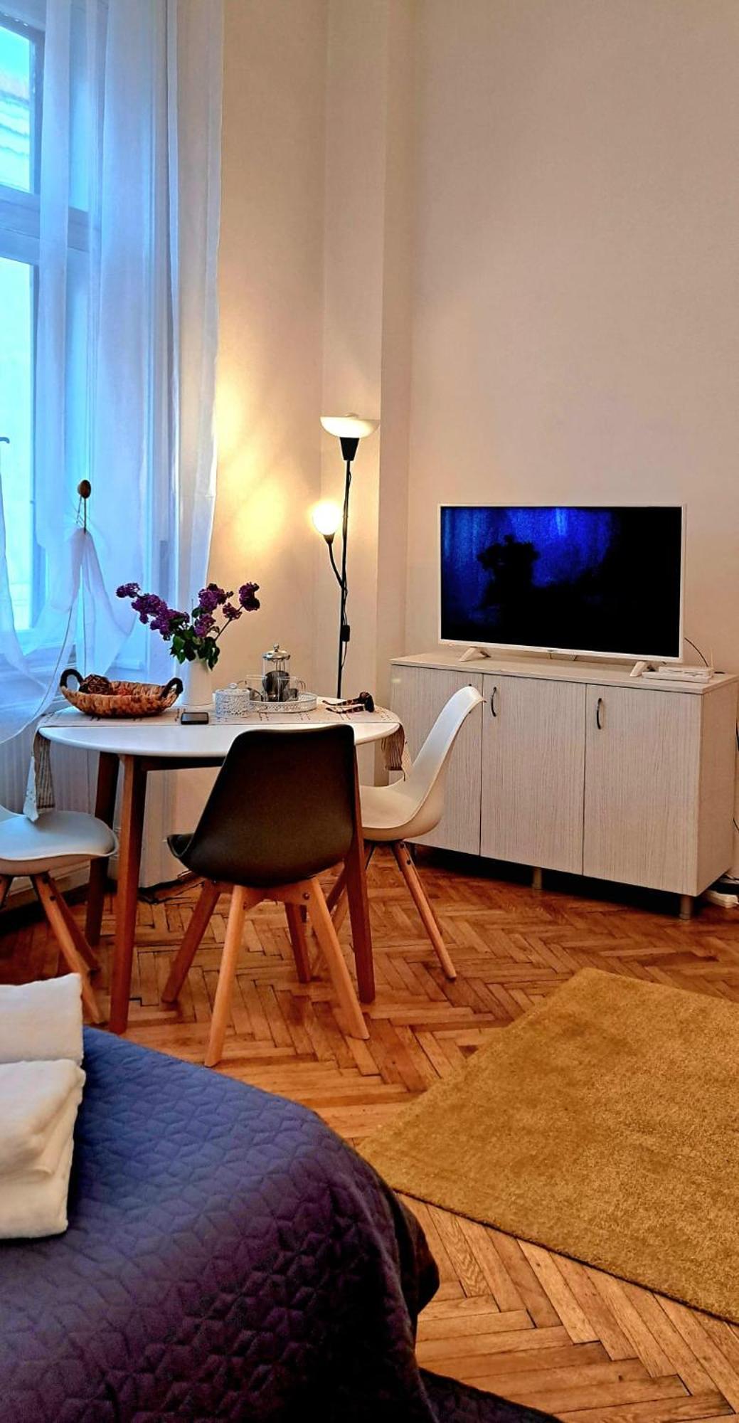 Travel And Music Apartment Timişoara Buitenkant foto